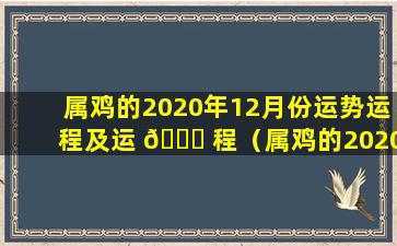 属鸡的2020年12月份运势运程及运 🐎 程（属鸡的2020年12月份运势运程及运程详解）